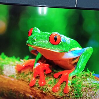 Thomson 4k Android smart tv 55(139) - 12