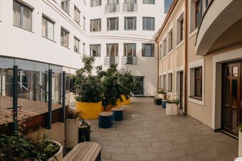 Prenájom luxusný 2 izbový byt, 58 m2, Vysoká ul, parkovanie, - 12