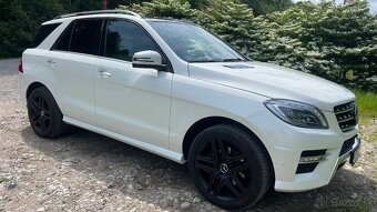 Mercedes-Benz ML 350 BLUETEC 4MATIC DESIGNO - 12