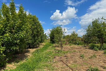 Dom za 163 000 e s obrovským pozemkom 2 400 m2 v Štefanovej - 12