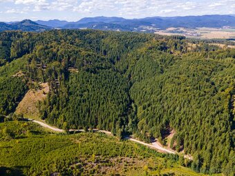 HOSPODÁRSKY LES V OBCI BUDIŠ V OKRESE TURČIANSKE TEPLICE - 12