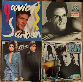 Lp platne - 12