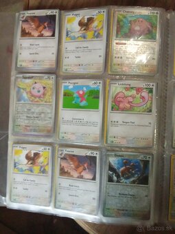 Pokémon - 12