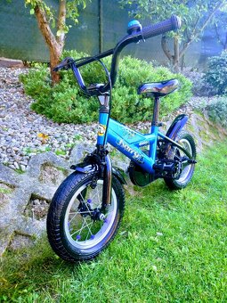 Bicykel Harry - 12