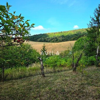 416 m² zelene a pokoja – na predaj záhrada s chatkou v Čacht - 12