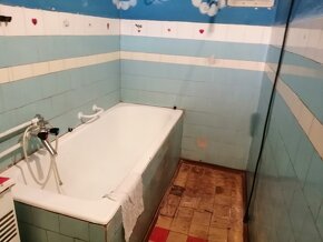 VÝHODNE-DOM Predaj Levice-3 izbový, letná kuchyňa,skleník - 12