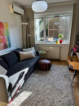 Výhodný prenájom - povolené aj zvieratká - 12