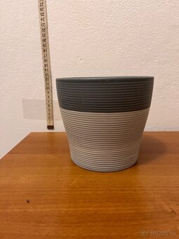 Kvetinče na predaj - 12