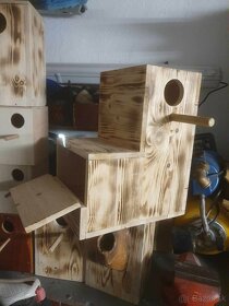 Predam budky prenosky kmenove budky - 12