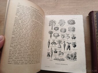 Jenny Springerová: Domáci lekárka I.,II., 1925 + rozkladací - 12