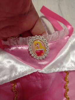 Šípková Rúženka - Ihneď k odberu - 12