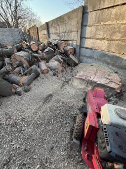 Kosenie/Strihanie/Údržba zelene/Pílenie /Drvenie - 12