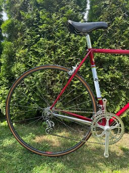 Colnago Nuovo Mexico - 12