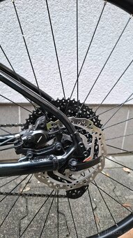 Marin Bobcat Trail 5 - 12
