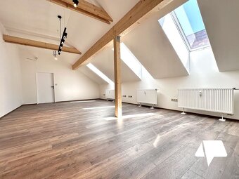 BENEFITY V TEXTE Prenájom, reprezentatívne kancelárie / cow - 12