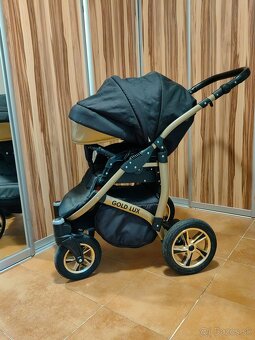 Gold Lux kočik - 12