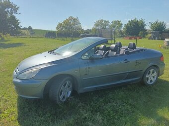 Peugeot 307 CC - 12