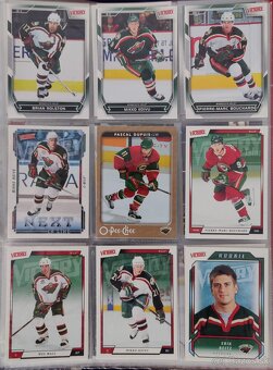Hokejové kartičky Minnesota Wild - 12