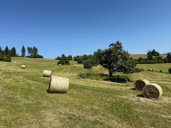Ponúkam na predaj seno - 12