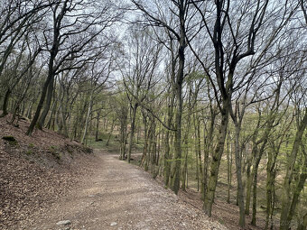 Prenájom- Bratislava III/Koliba - Brečtanová ul. - romantick - 12