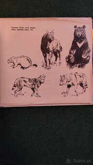 Dobrodružství Doktora Haiga-Vladimír Henzl - 12