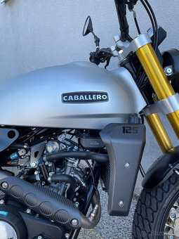 Fantic Caballero 125 Flat Track - 12
