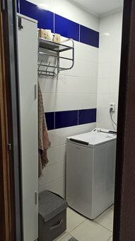 Prenájom 1 izbového bytu - 12