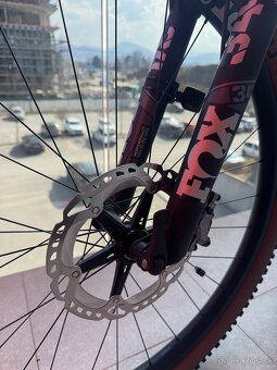 Canyon neuron CF 9 - 12