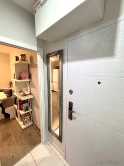 Prenájom- krásny 1 izbový byt  s balkónom, zariadený, NZ - 12