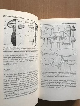 5 x literatura o hubach - 12