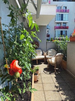 Prenájom 2-izbový byt, Staré Grunty, BA, Karlova Ves. - 12