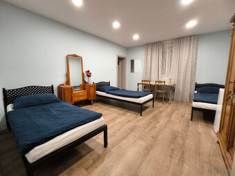 ubytovanie pri Piešťanoch - 12