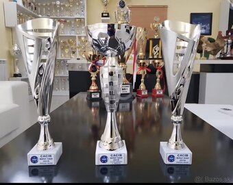 Šteňatá Kaukazský ovčiak - 12