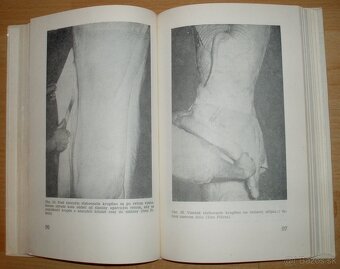 Domáca zakáľačka - 12