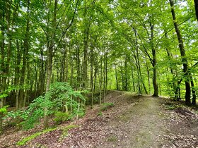 MEGA ZĽAVA • Zariadenie poľovníckeho združenia v meste Holíč - 12