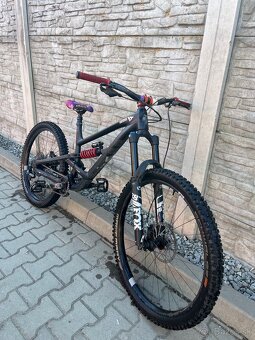 Predam YT capra 2023 - 12