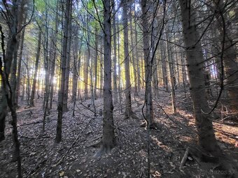 Vymením 3,8 ha lesného pozemku za ornú pôdu - 12