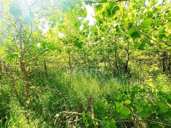 NEOBRÁBANÝ POZEMOK,RAČA-KNIŽKOVA DOLINA,3381m2 - 12