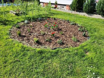 Predám 2 chatky - 12