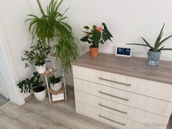 Predaj 4-izb.RD v Dolnej Strede - 12