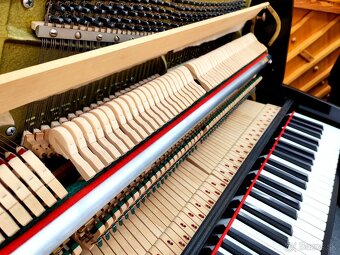 Najvyššia kvalita Renner dovoz celá SR - 12