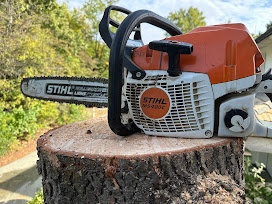 Arboristika, výrub a orez stromov - 12