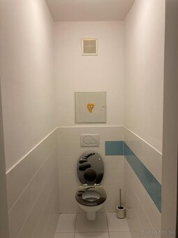 3 izbovy byt - prenajom - 12