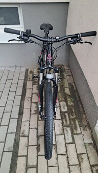 CTM Charisma 3.0. - 12