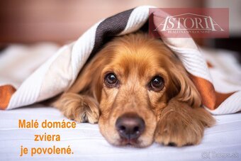 Prenájom - chata na celoročné bývanie - Valentová - 12