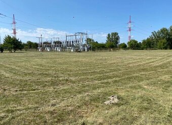 Kosenie-mulčovanie pozemkov//Pílenie//Orez stromov - 12