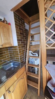 Predaj záhradnej chatky s pozemkom - 12