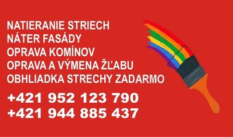 Ponúkame vám maľovanie striech maľovanie fasád - 12