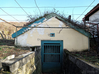 Záhradný domček s vinohradom - 12