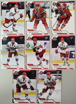 Hokejové kartičky TIPOS EXTRALIGA 2024/2025 HK 32 L.MIKULÁŠ - 12